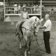 ARH Slg. Bartling 2197, Zwei Mädchen auf einem Pferd (Schimmel), das von Walter Hahn (Reitlehrer) geführt wird, stehend beim Voltigieren in der Reithalle, Mandelsloh