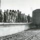 Stadtarchiv Neustadt a. Rbge., ARH Slg. Bartling 2557, Firma P. A. Rentrop AG, Matratzenfabrik, Siemensstraße (früher: An der Eisenbahn), Eisenbahnanschluss, Einweihung mit einem mit Maiengrün geschmückten Güterwagen, Neustadt a. Rbge.