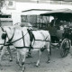 Stadtarchiv Neustadt a. Rbge., ARH Slg. Bartling 3573, Landauer-Kutsche mit geschlossenem Verdeck, gezogen von zwei Schimmeln, vor dem Jibi-Markt, Am Walle, Neustadt a. Rbge.