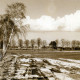 Stadtarchiv Neustadt a. Rbge., ARH Slg. Bartling 4094, Schneereste auf den Feldern am Aschenkrug an der B 6 bei Eilvese