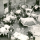 Stadtarchiv Neustadt a. Rbge., ARH Slg. Bartling 4214, Kaffeetrinken der Bewohner an weiß gedeckten Tischen im Hof des Kreisaltersheims, Hagen