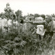 ARH Slg. Bartling 4233, Helstorfer Moor, Biologieunterricht mit Dr. Wolf Troue des Gymnasiums Neustadt und Kindern über wilde Lupinen, Helstorf