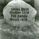 ARH Slg. Bartling 4989, Findling am Straßenrand mit der eingemeißelten Beschriftung "Unser Dorf - Welsen 1229 - 750 Jahre - Welze 1979", Welze