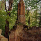 Archiv der Region Hannover, ARH Slg. Bürgerbüro 199, Ruine des Mausoleums Graf Carl von Alten, Arnum