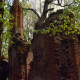 Archiv der Region Hannover, ARH Slg. Bürgerbüro 201, Ruine des Mausoleums Graf Carl von Alten, Arnum