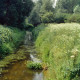Archiv der Region Hannover, ARH Slg. Bürgerbüro 298, Kleiner Bach (Wiehgraben?) an der Leine bei Döhren