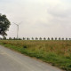 Archiv der Region Hannover, ARH Slg. Bürgerbüro 341, Mitglieder des Bürgerbüros für Stadtentwicklung Hannover e. V. auf einem Feldweg nahe des Expo Geländes, Hannover-Mittelfeld