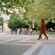 Archiv der Region Hannover, ARH Slg. Bürgerbüro 501, Mitglieder des Bürgerbüros für Stadtentwicklung Hannover e. V. beim Zwischenstopp auf dem Georgsplatz während einer Cityring Radtour, Hannover-Mitte