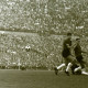 ARH Slg. Fratzer 01-0013/0002, Fußball Bundesliga 1964, Hannover 96 gegen Eintracht Braunschweig, Hannover