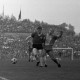 Archiv der Region Hannover, ARH Slg. Fratzer 01-0014/00014, Fußball Bundesliga 1964, Hannover 96 gegen Eintracht Braunschweig, Hannover