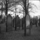 Archiv der Region Hannover, ARH Slg. Fritsche 154, Jüdischer Friedhof in der Uetzer Straße, Burgdorf