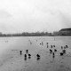 Archiv der Region Hannover, ARH Slg. Janthor 0198, Maschsee, Hannover
