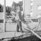 ARH Slg. Weber 02-006/0007, Arbeiter mit einer Kabeltrommel an der Dammstraße, Gehrden