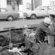 Archiv der Region Hannover, ARH Slg. Weber 02-134/0004, Arbeiter bei der Verlegung von Stromkabeln