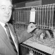 ARH Slg. Weber 02-150/0003, Manfred Weichelt, Vorsitzender des Kaninchenzuchtvereines Gehrden und Umgebung F36