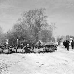 Symbolbild, stellvertretend für Bilder bei denen wir Ihre Hinweise benötigen.