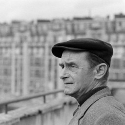 Symbolbild, stellvertretend für Bilder bei denen wir Ihre Hinweise benötigen.