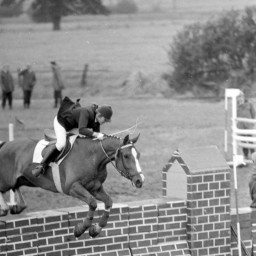 Symbolbild, stellvertretend für Bilder bei denen wir Ihre Hinweise benötigen.