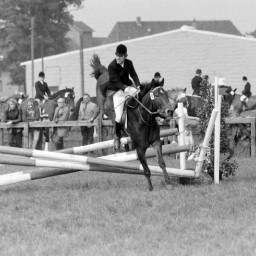 Symbolbild, stellvertretend für Bilder bei denen wir Ihre Hinweise benötigen.