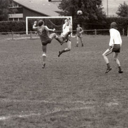 Symbolbild, stellvertretend für Bilder bei denen wir Ihre Hinweise benötigen.