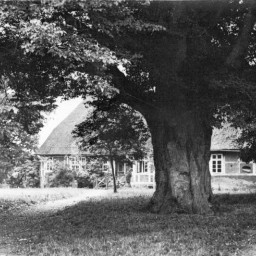 Symbolbild, stellvertretend für Bilder bei denen wir Ihre Hinweise benötigen.